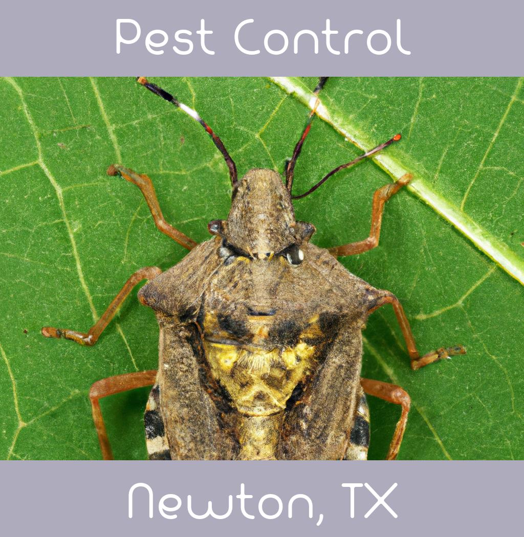 pest control in Newton Texas