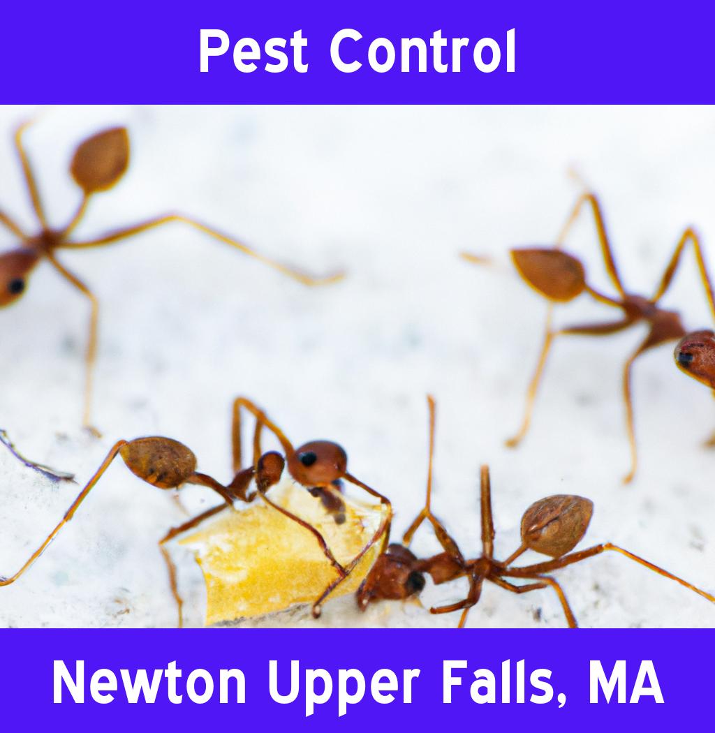pest control in Newton Upper Falls Massachusetts