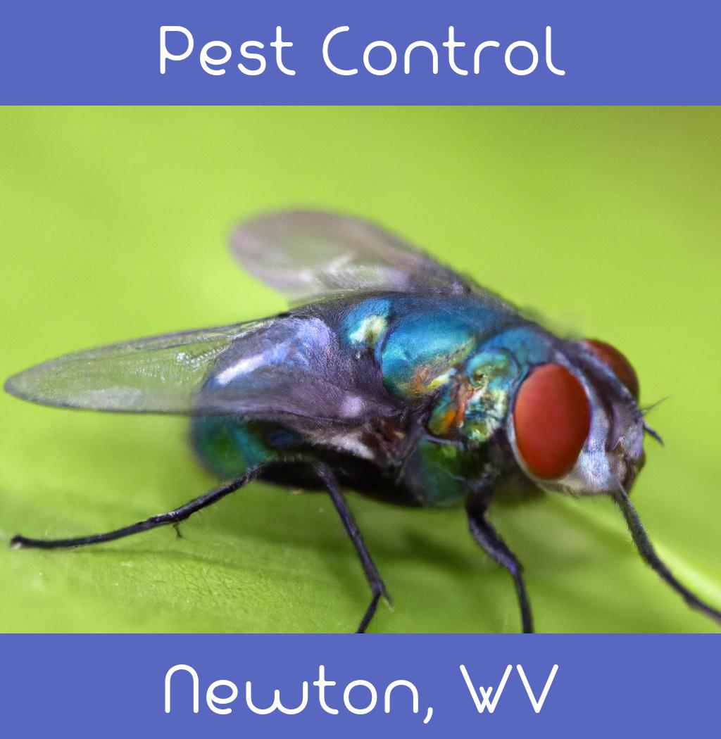 pest control in Newton West Virginia