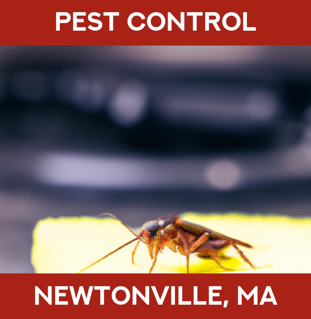 pest control in Newtonville Massachusetts