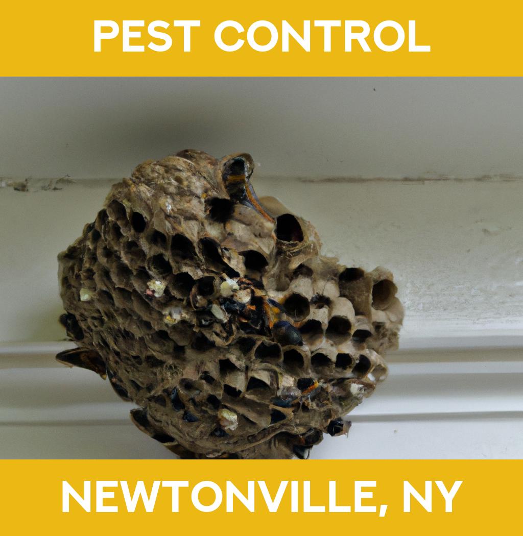 pest control in Newtonville New York