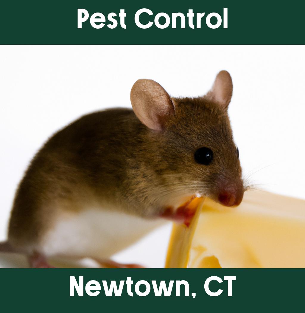 pest control in Newtown Connecticut