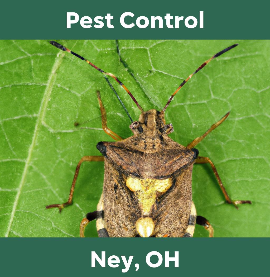 pest control in Ney Ohio