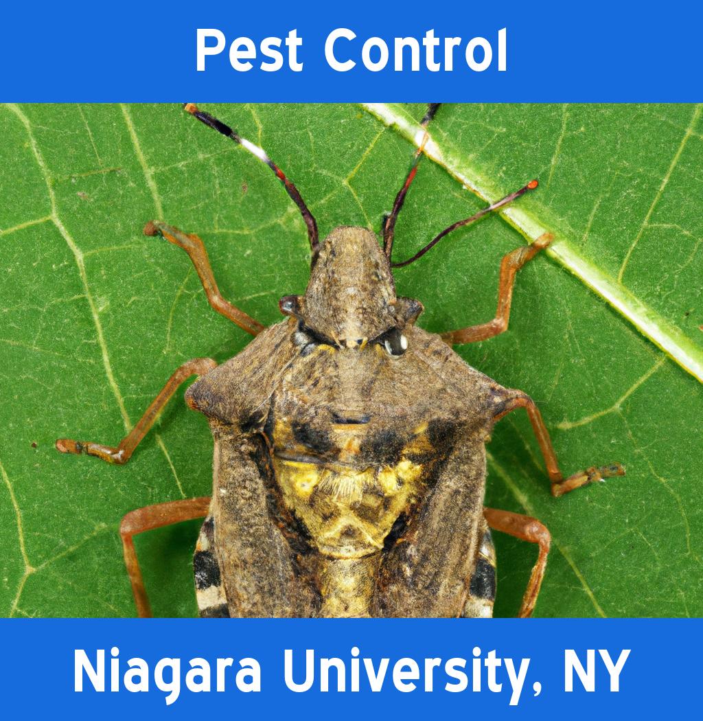 pest control in Niagara University New York