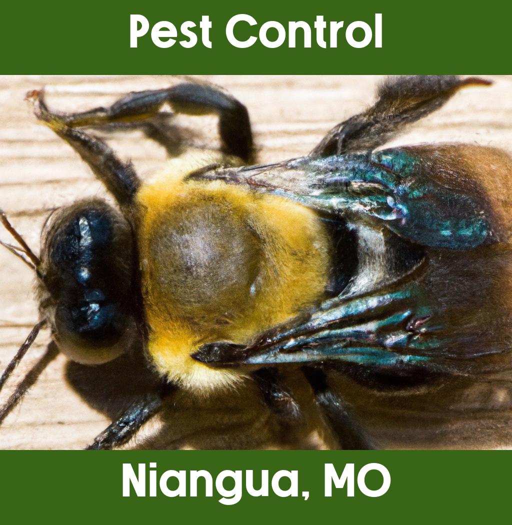 pest control in Niangua Missouri