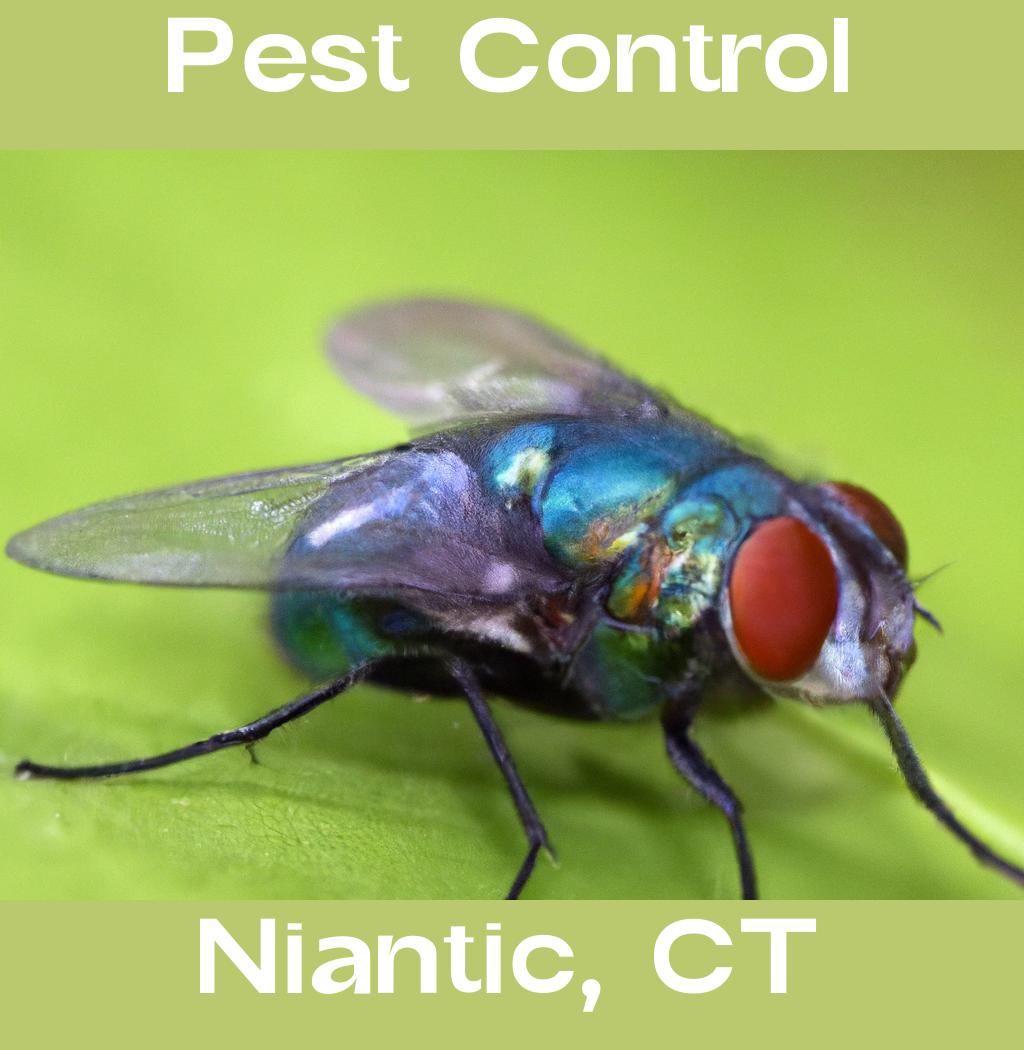 pest control in Niantic Connecticut