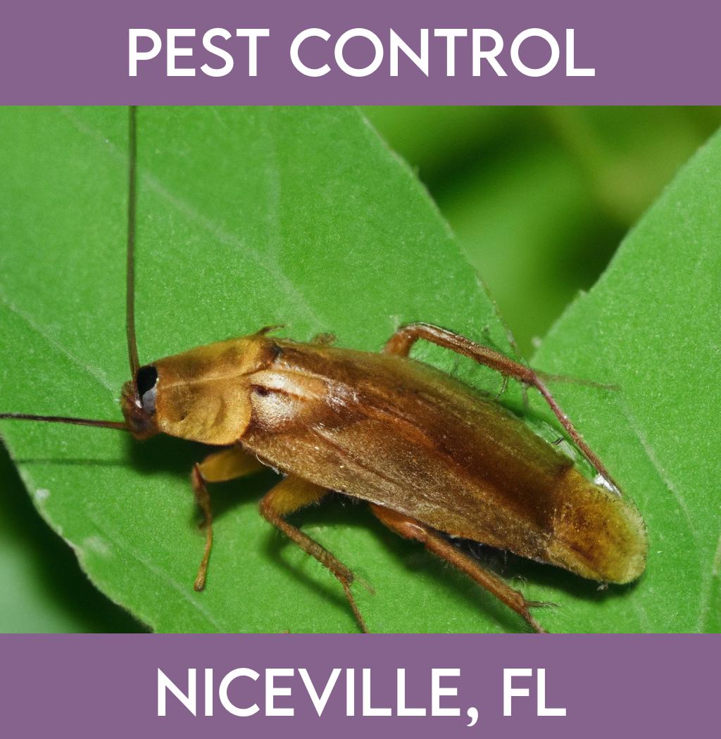pest control in Niceville Florida