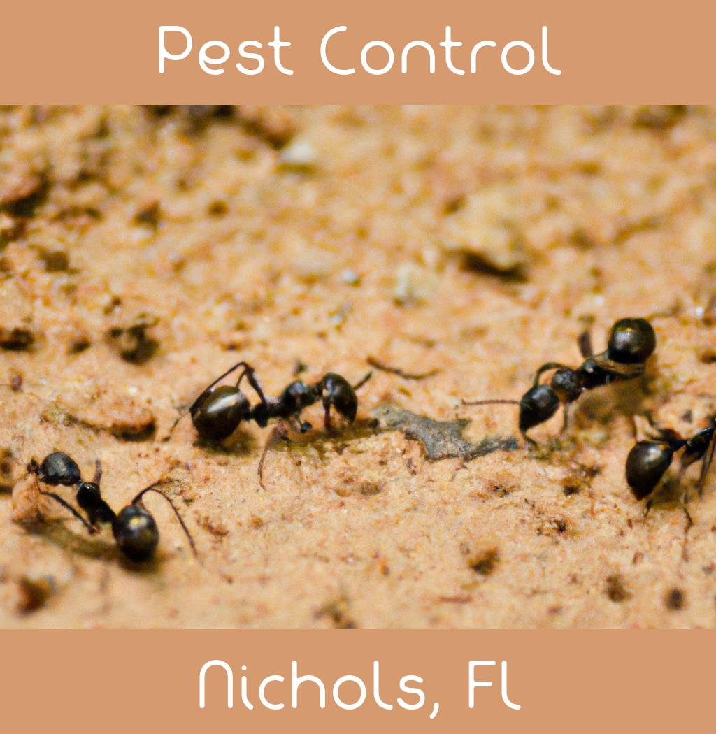 pest control in Nichols Florida