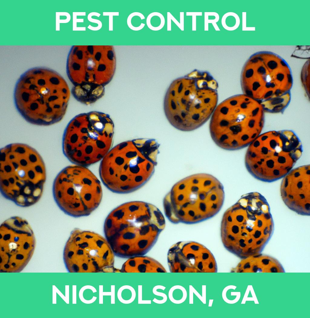 pest control in Nicholson Georgia