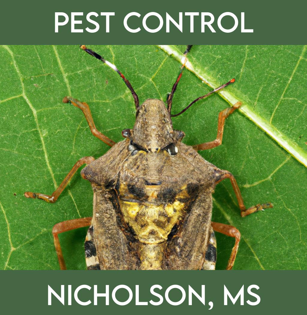 pest control in Nicholson Mississippi