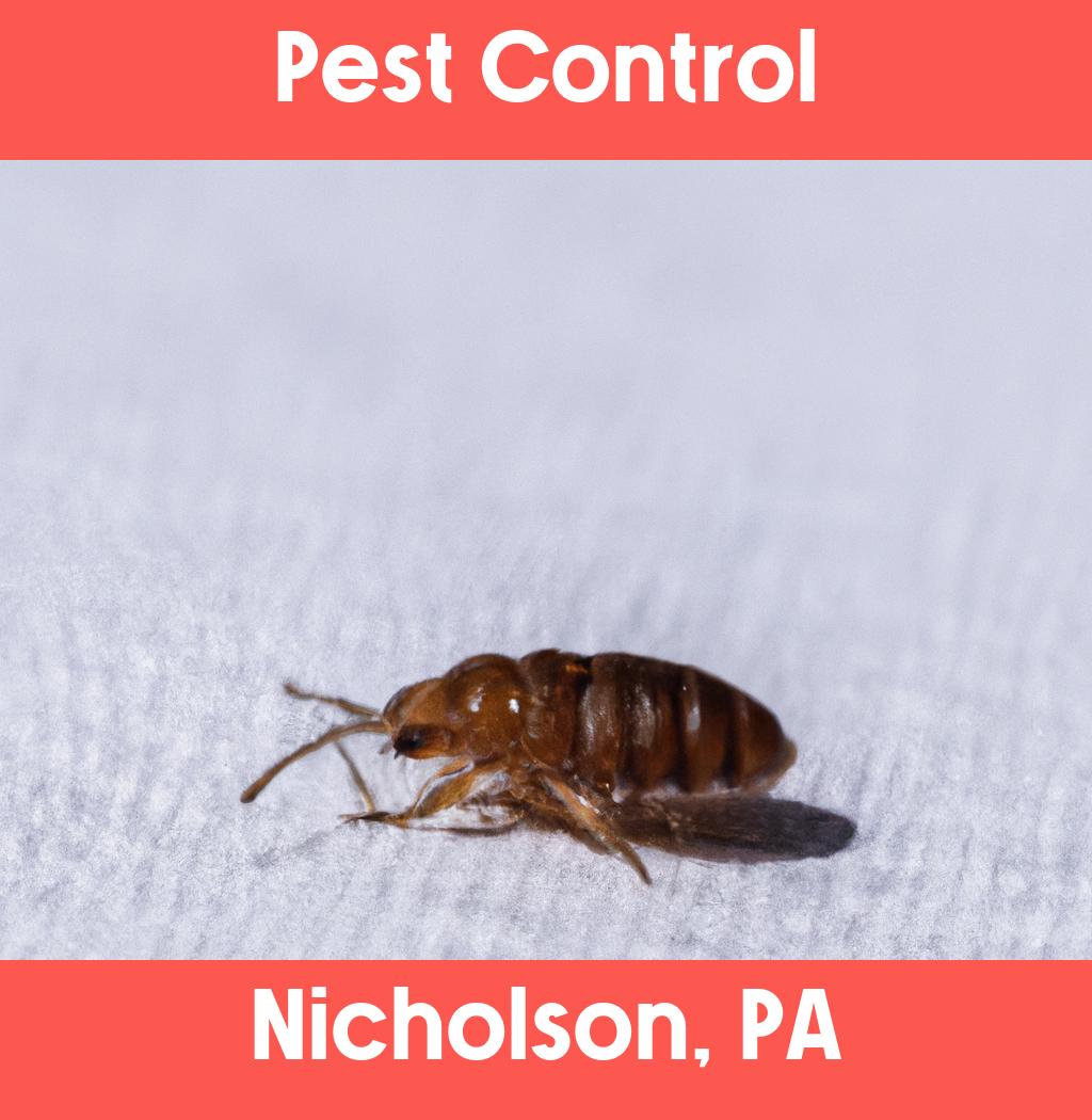 pest control in Nicholson Pennsylvania