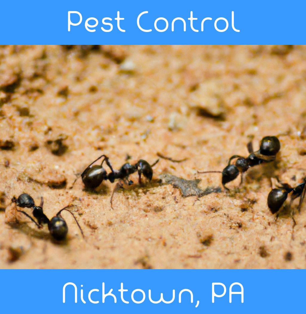 pest control in Nicktown Pennsylvania