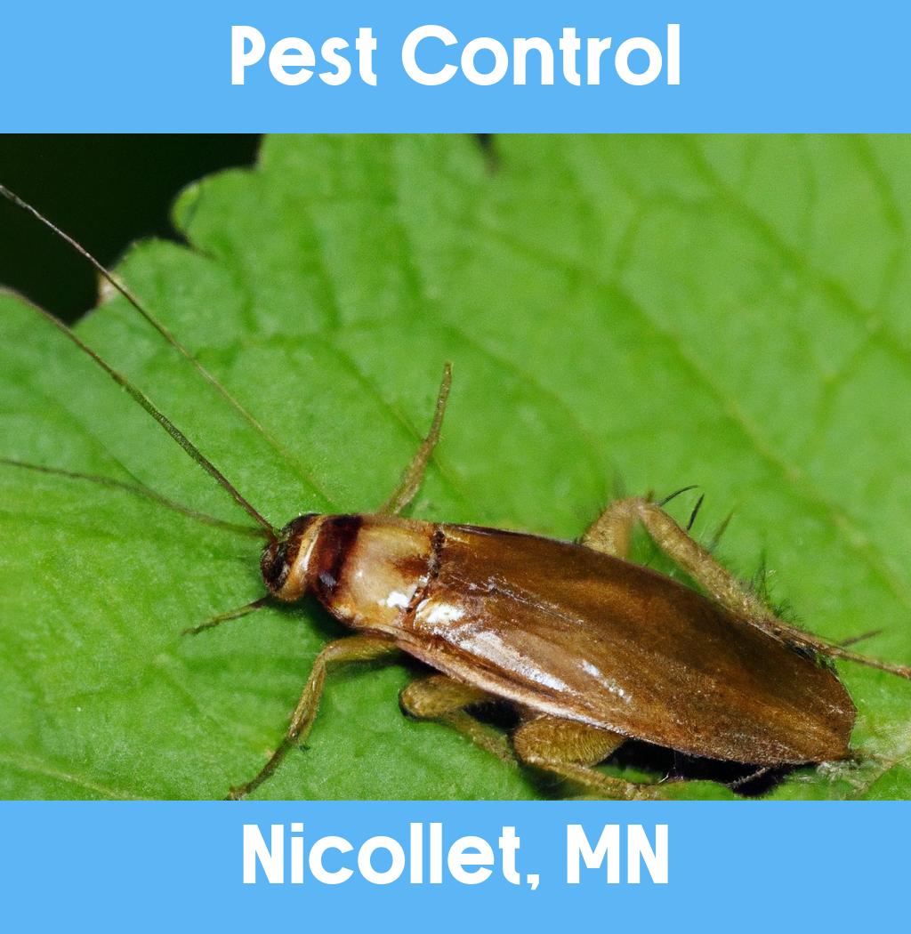 pest control in Nicollet Minnesota