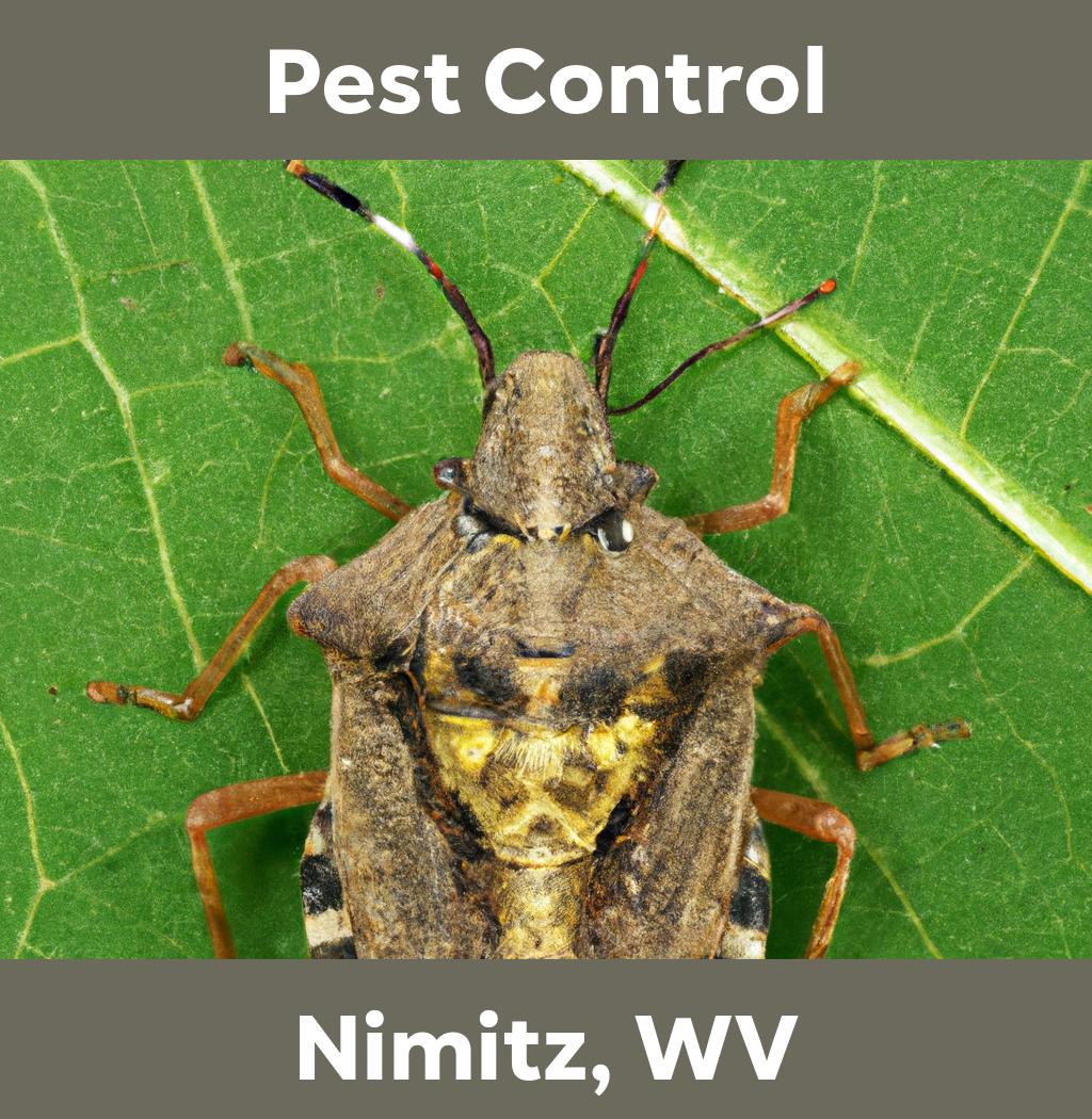 pest control in Nimitz West Virginia