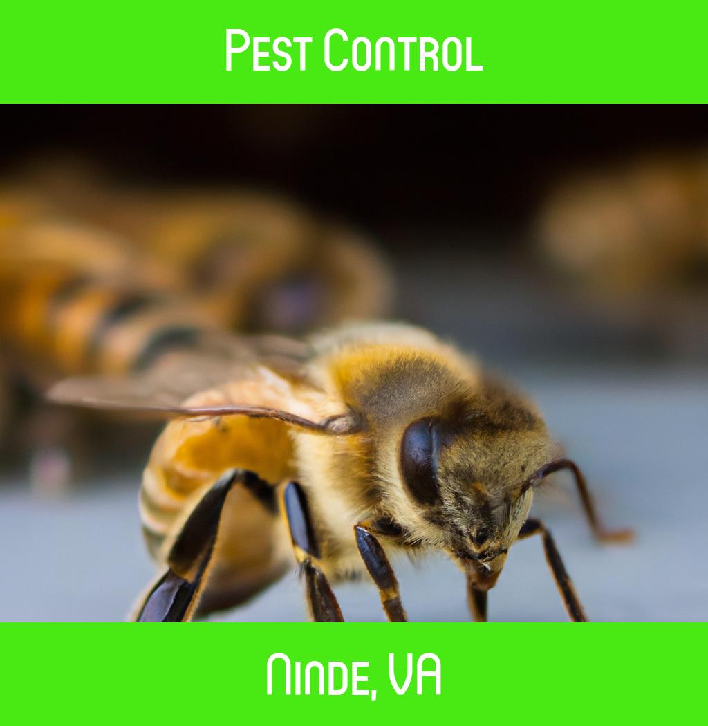 pest control in Ninde Virginia