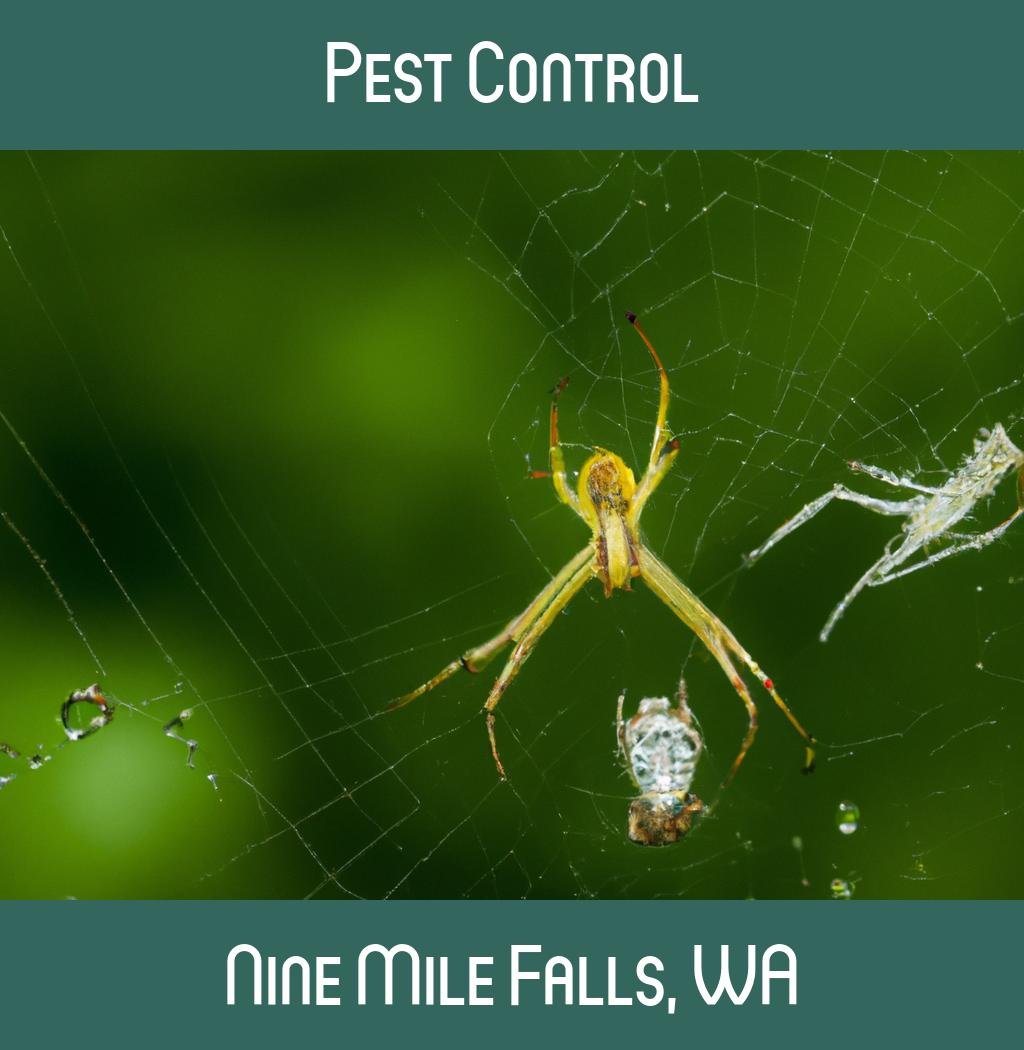 pest control in Nine Mile Falls Washington