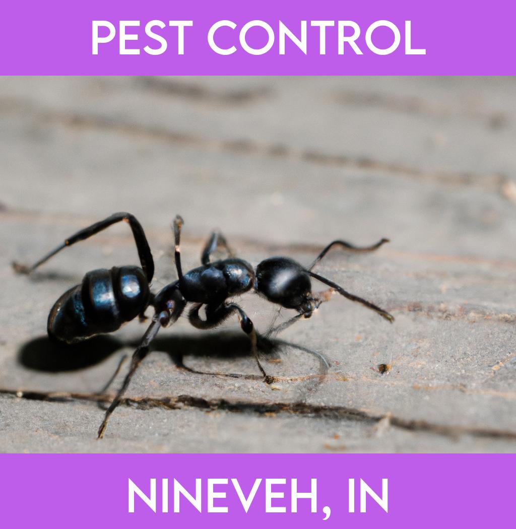 pest control in Nineveh Indiana