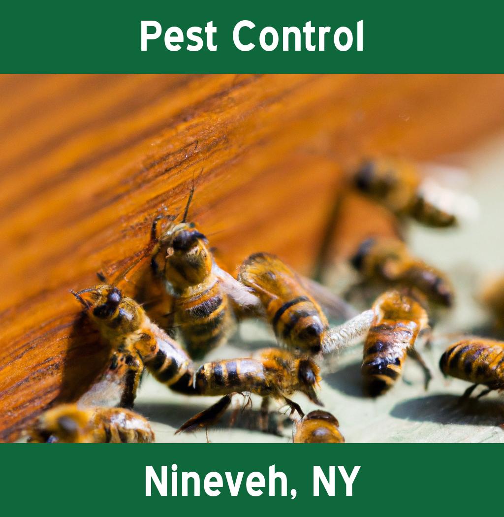 pest control in Nineveh New York