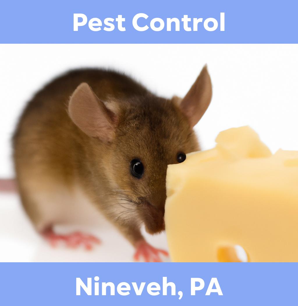 pest control in Nineveh Pennsylvania
