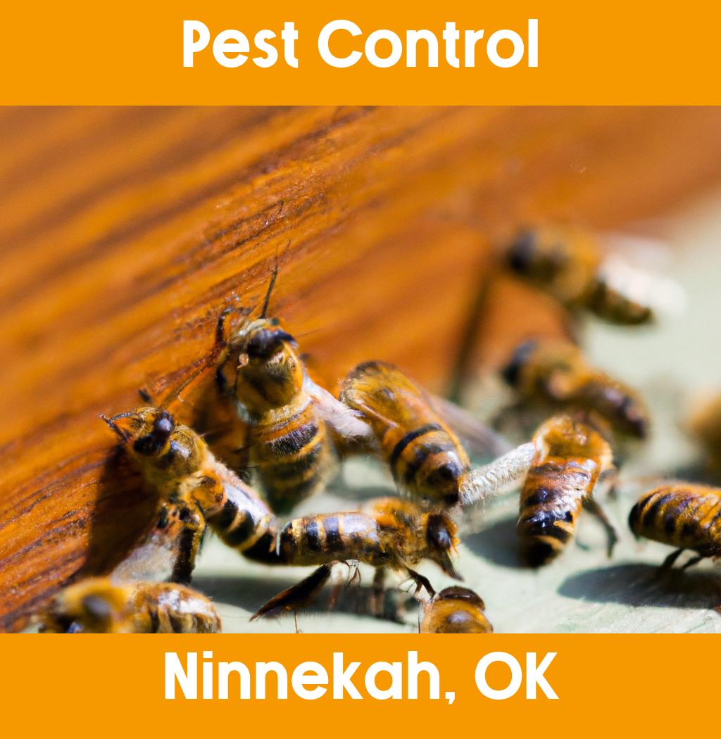 pest control in Ninnekah Oklahoma