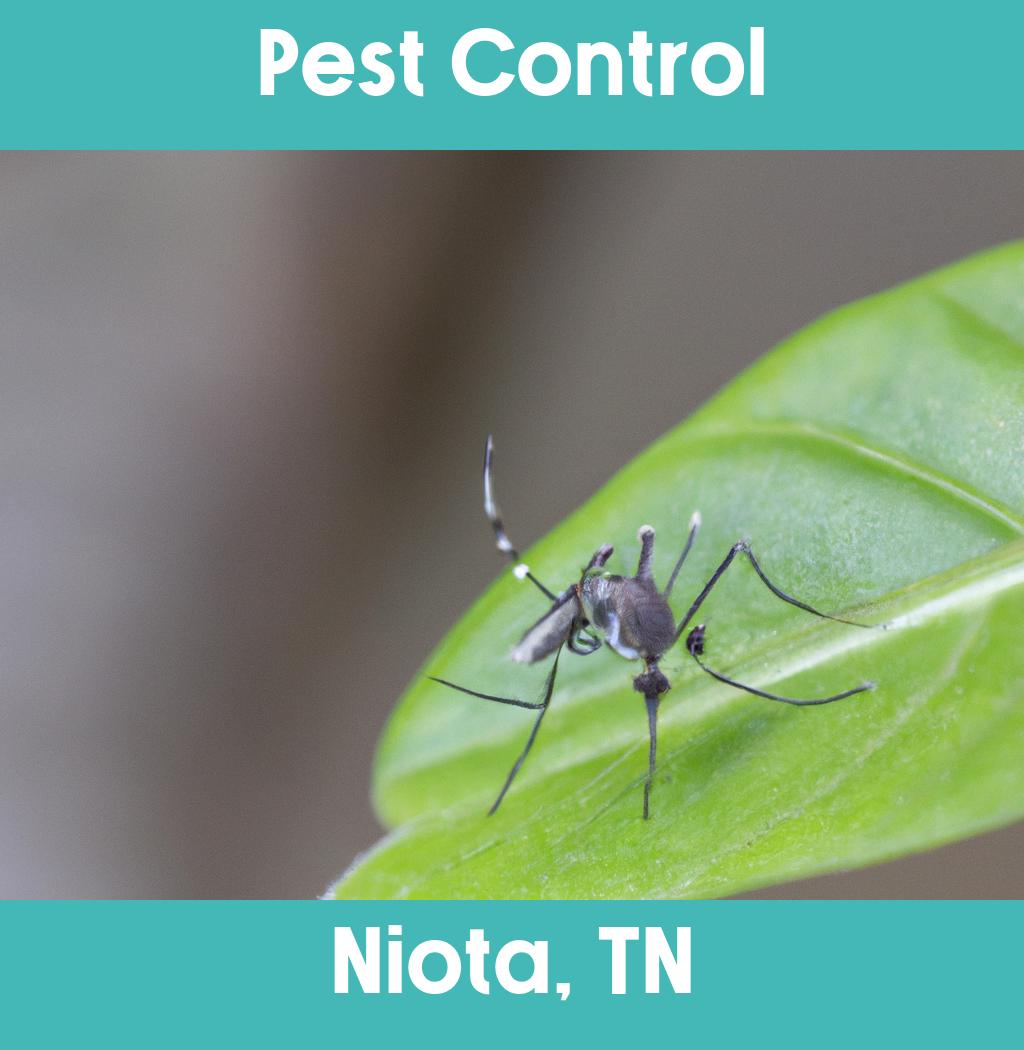 pest control in Niota Tennessee