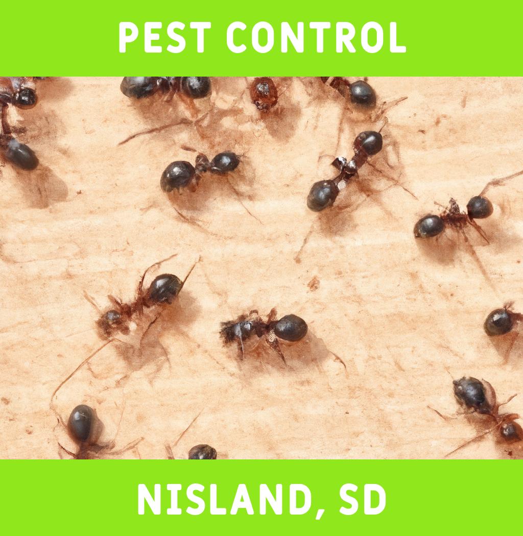 pest control in Nisland South Dakota