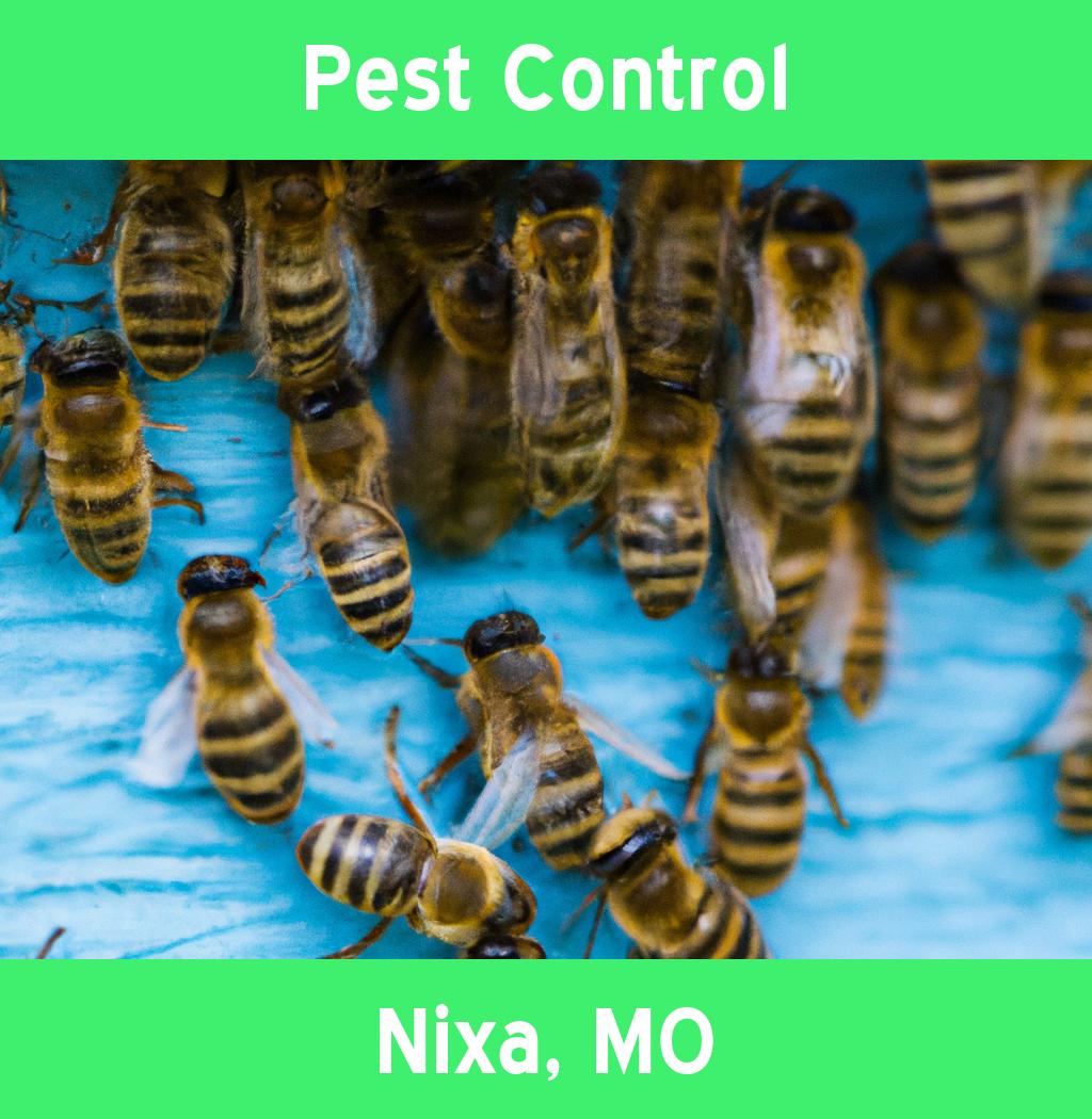 pest control in Nixa Missouri