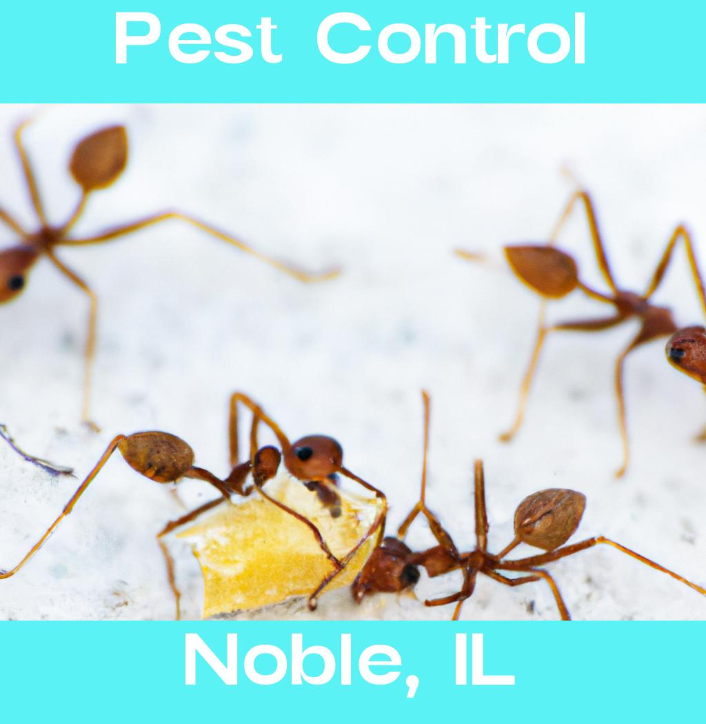 pest control in Noble Illinois