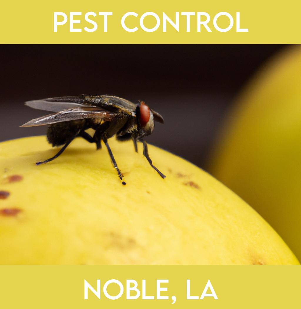 pest control in Noble Louisiana