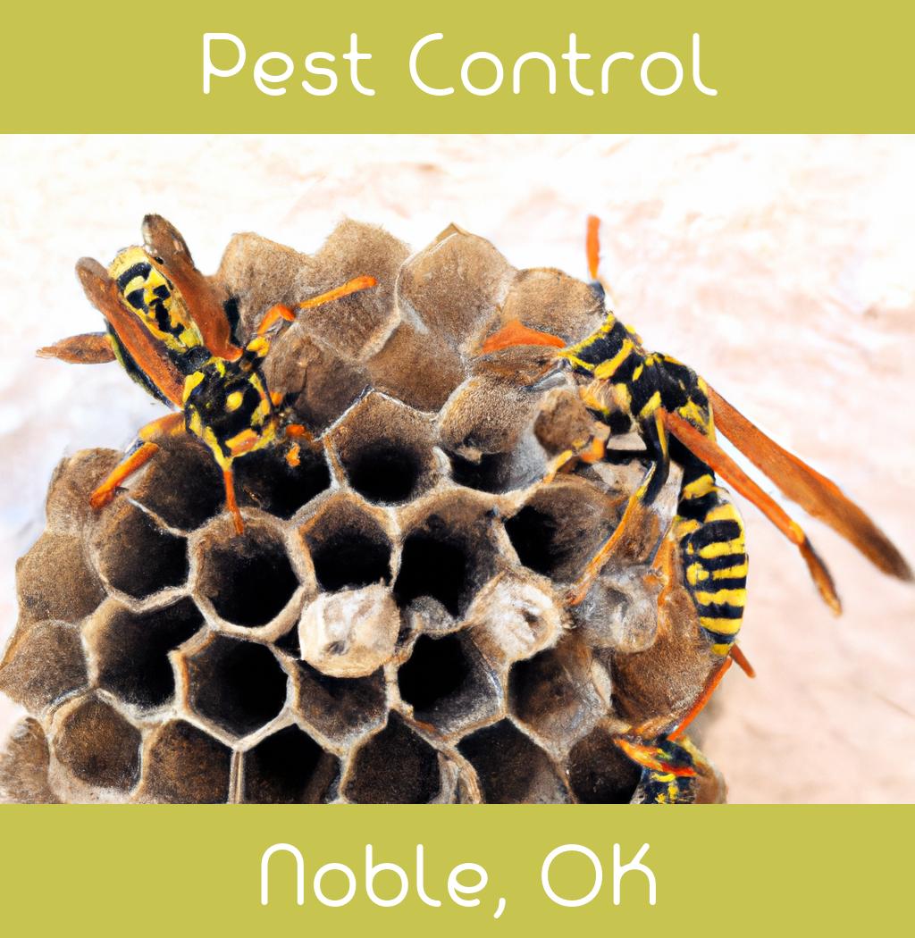 pest control in Noble Oklahoma