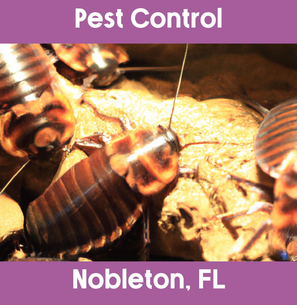 pest control in Nobleton Florida