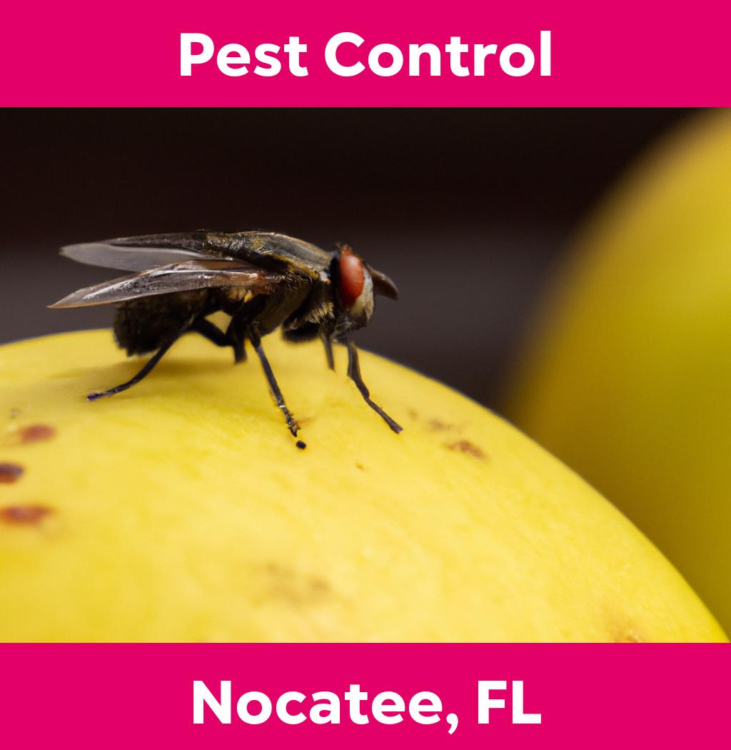 pest control in Nocatee Florida