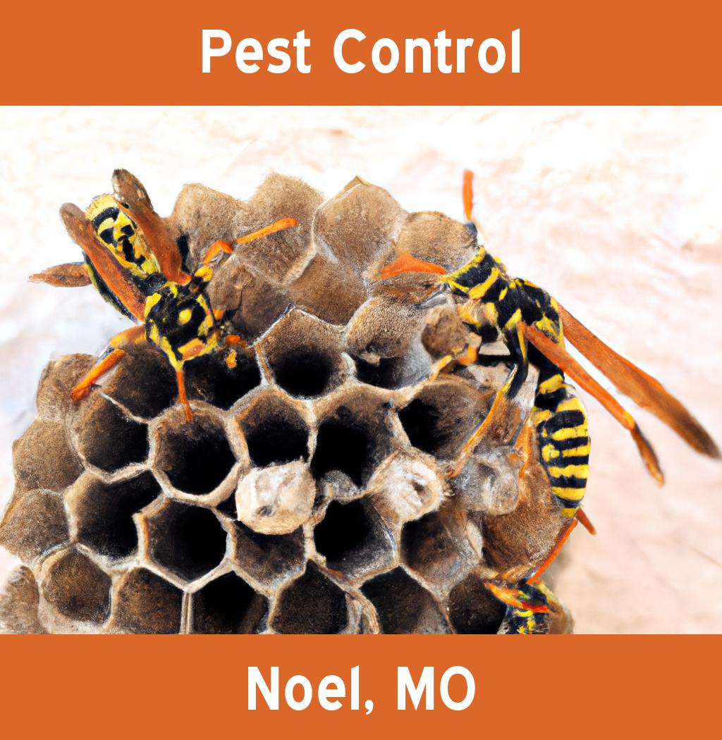 pest control in Noel Missouri