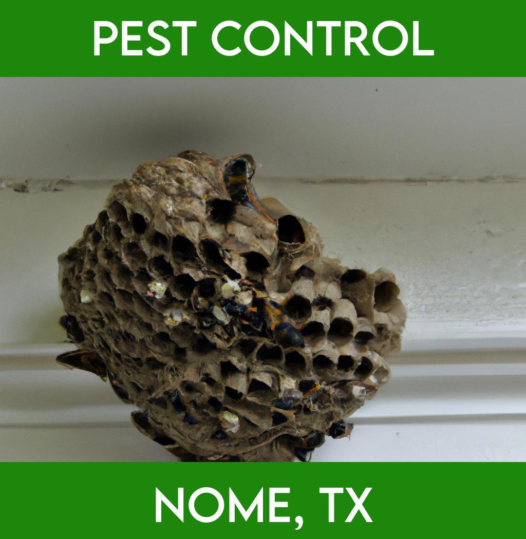 pest control in Nome Texas