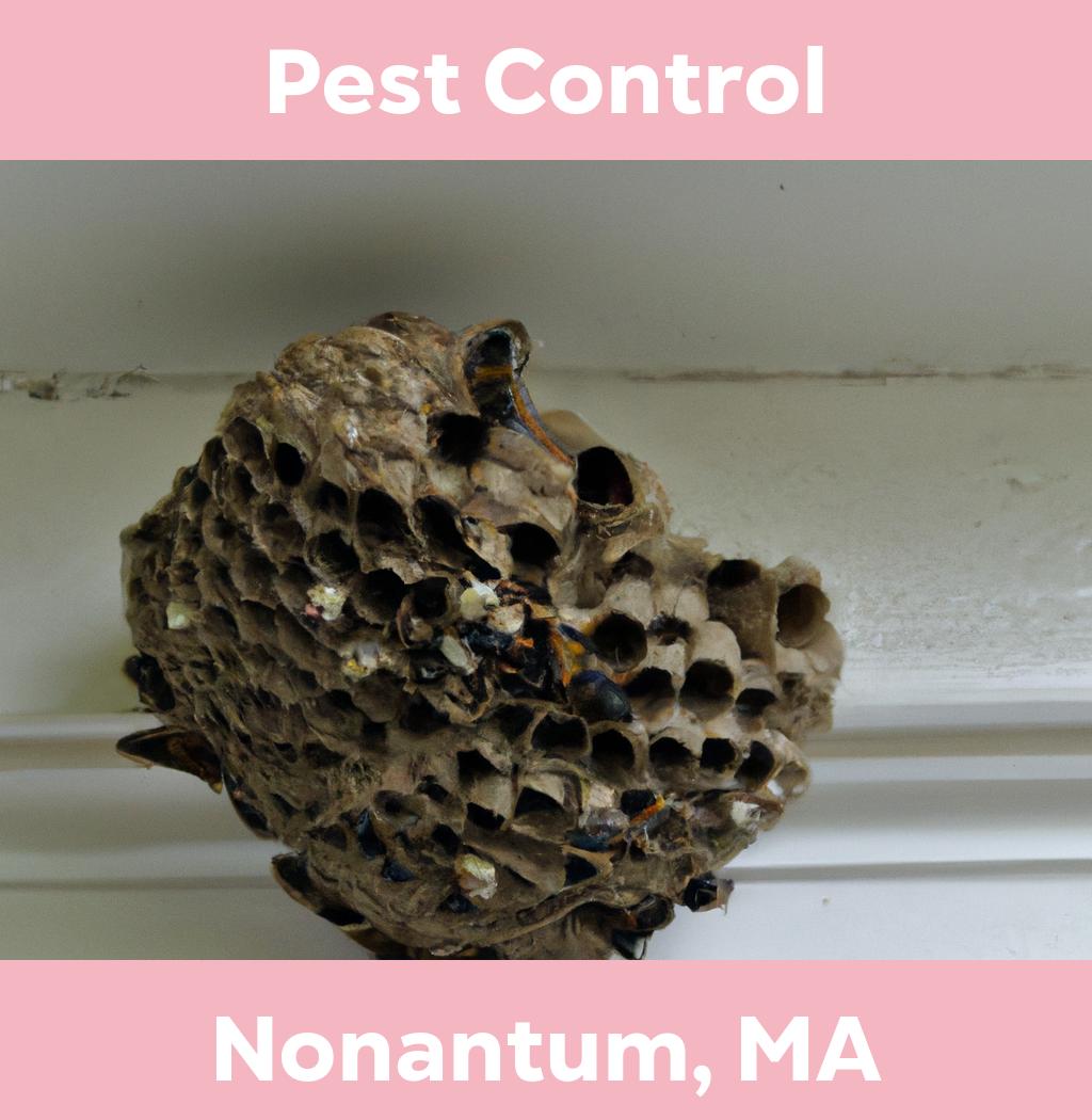 pest control in Nonantum Massachusetts