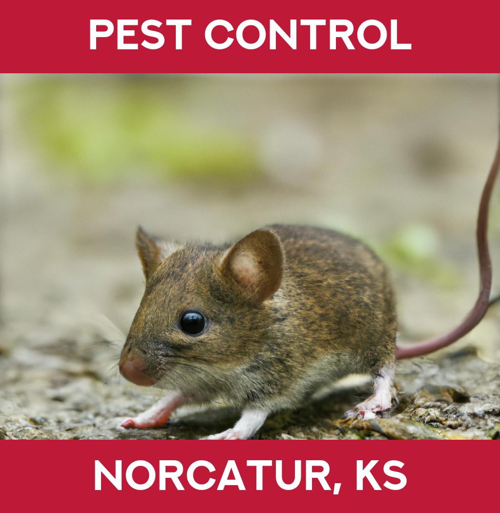 pest control in Norcatur Kansas