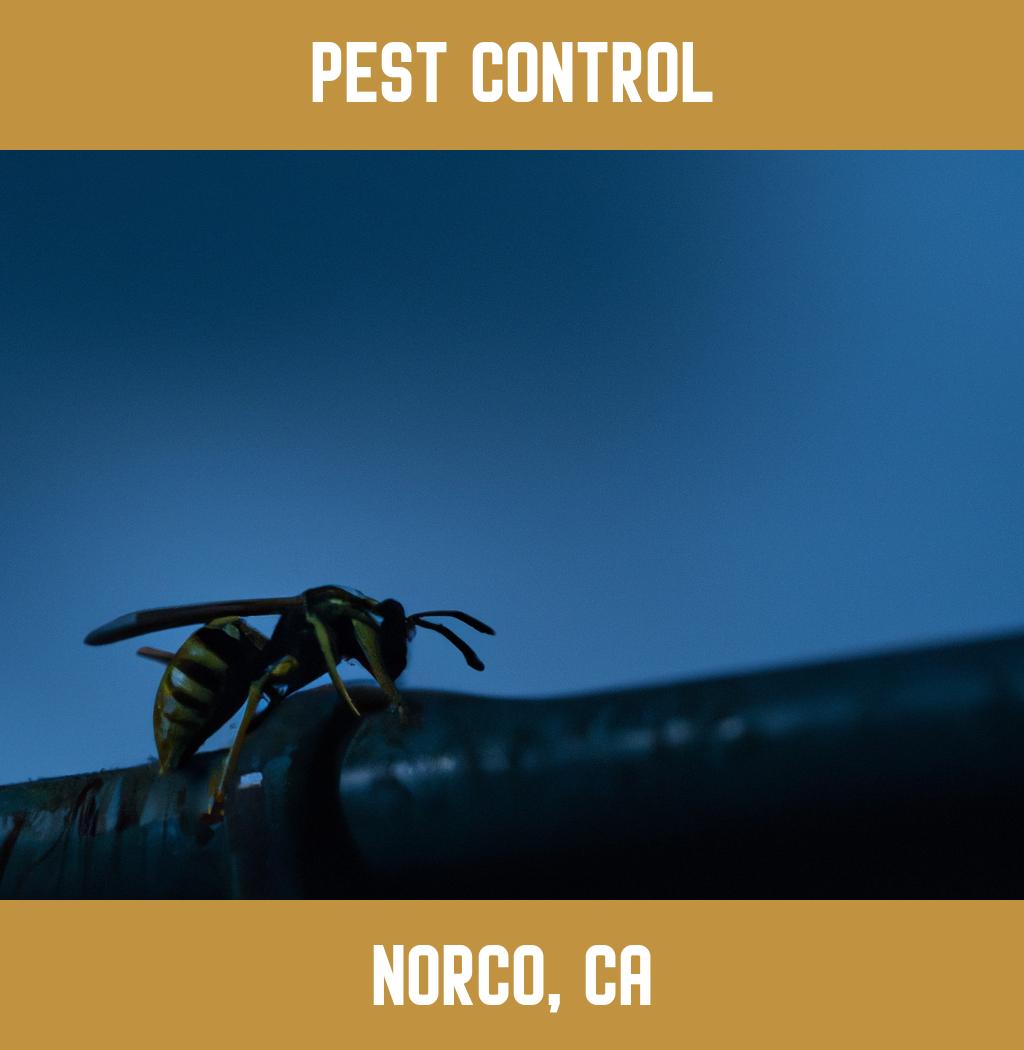 pest control in Norco California