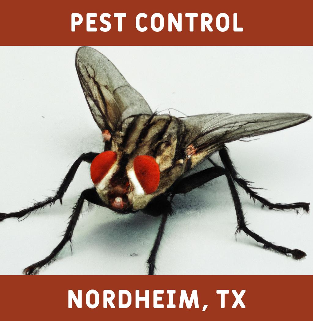 pest control in Nordheim Texas