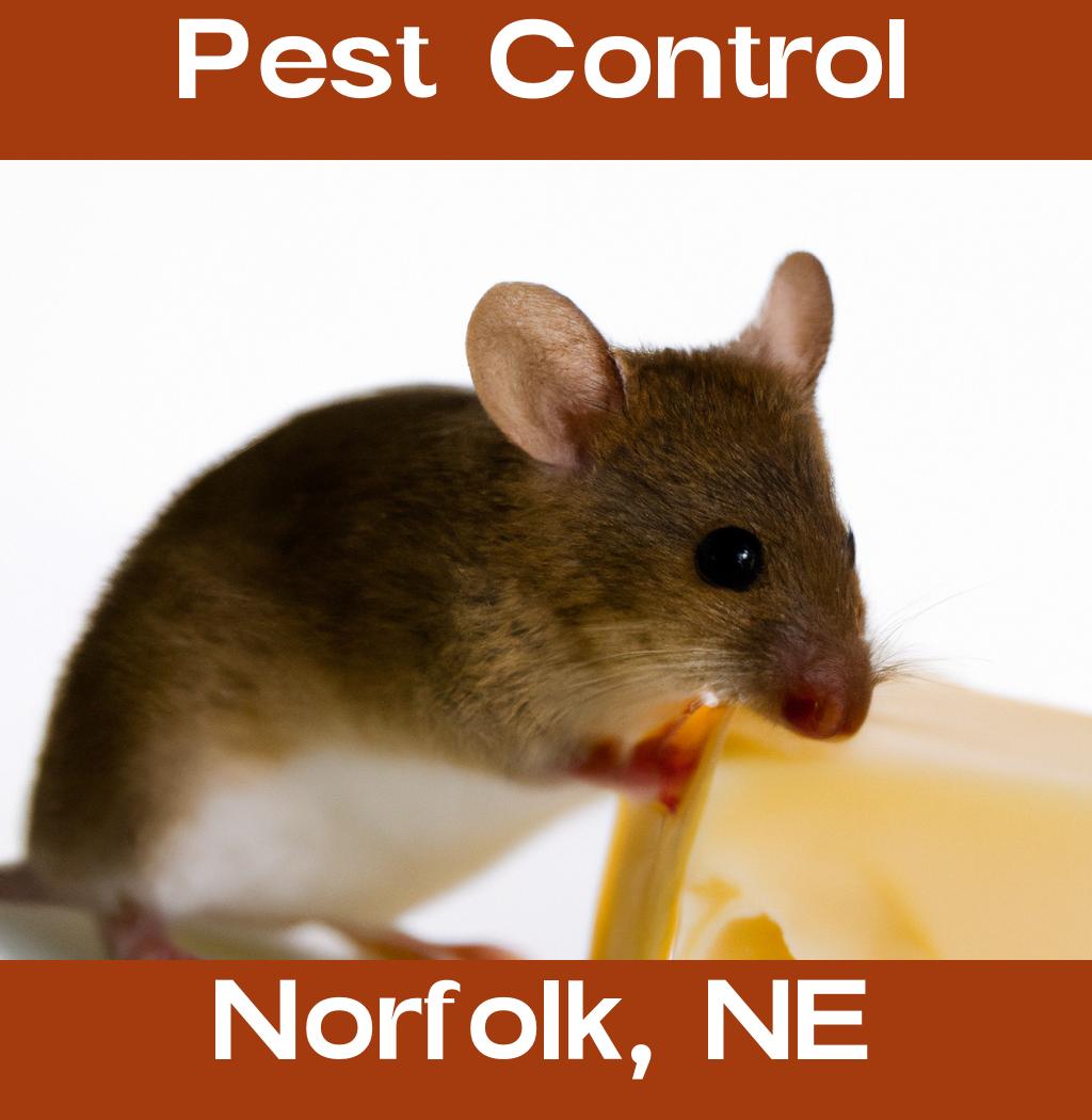 pest control in Norfolk Nebraska