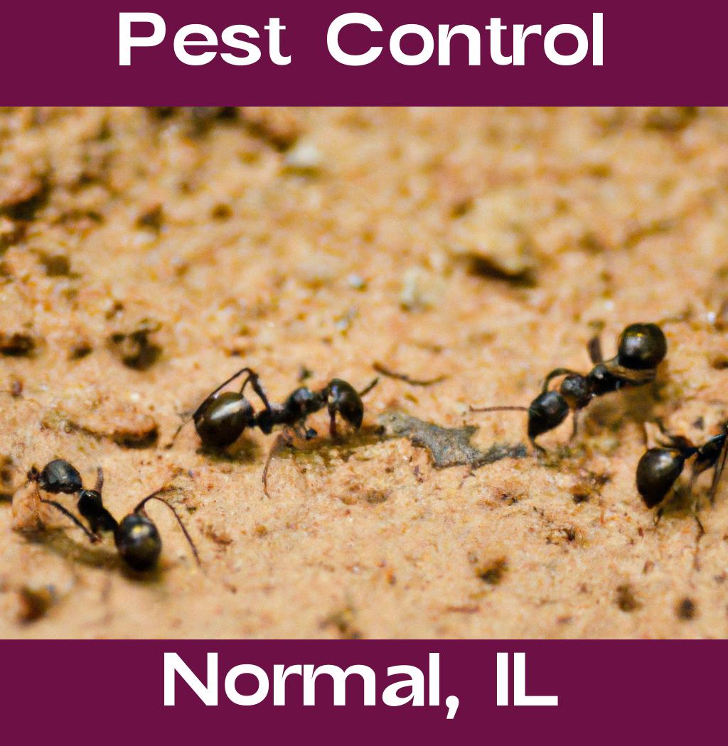 pest control in Normal Illinois