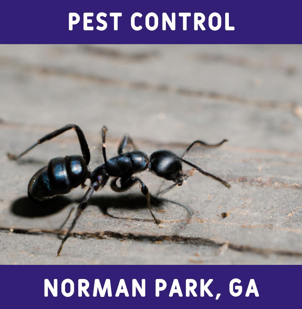 pest control in Norman Park Georgia
