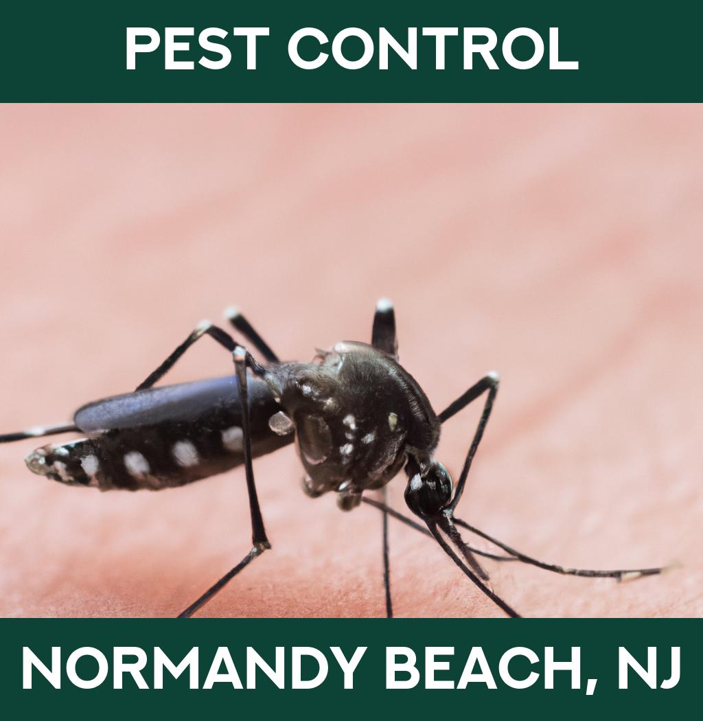 pest control in Normandy Beach New Jersey