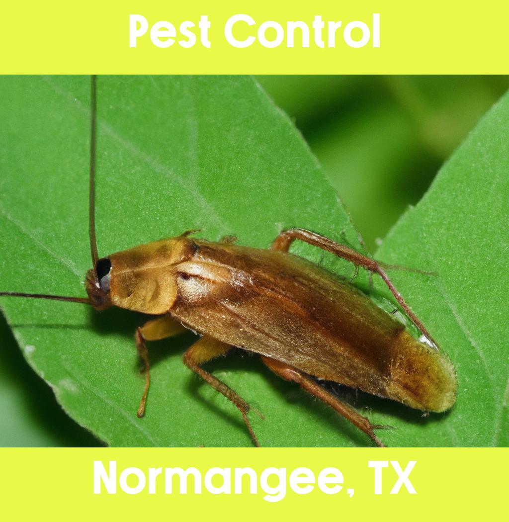 pest control in Normangee Texas