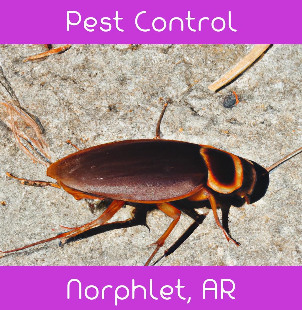pest control in Norphlet Arkansas