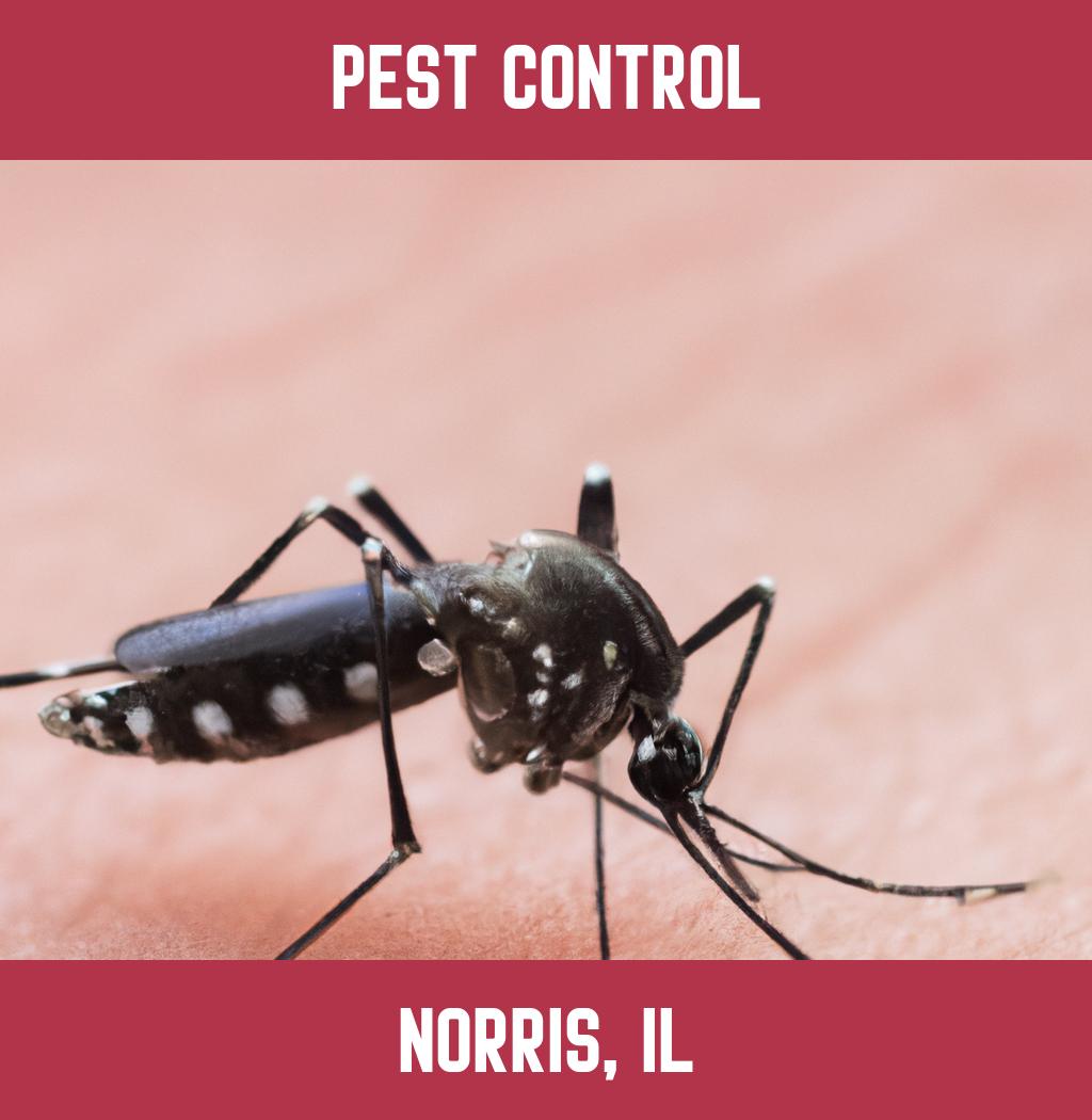 pest control in Norris Illinois