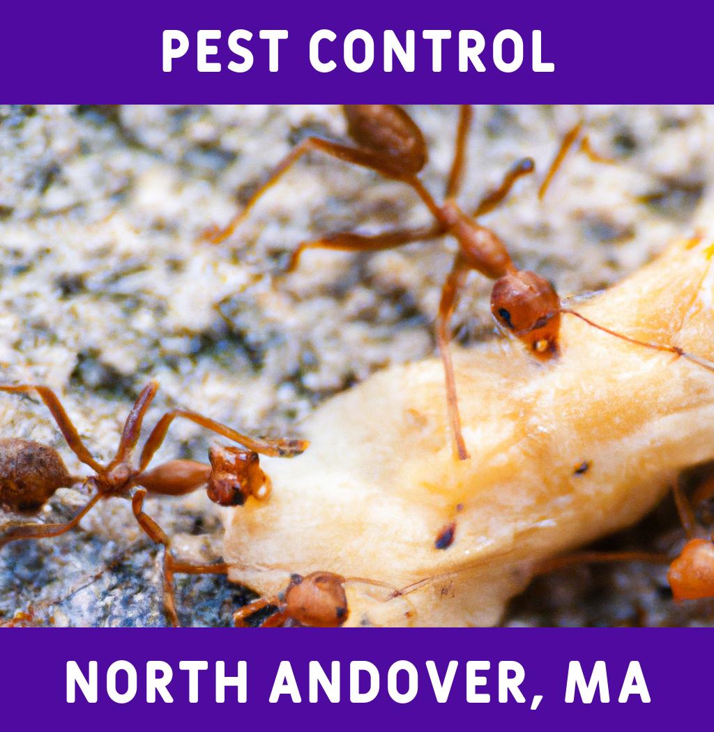 pest control in North Andover Massachusetts