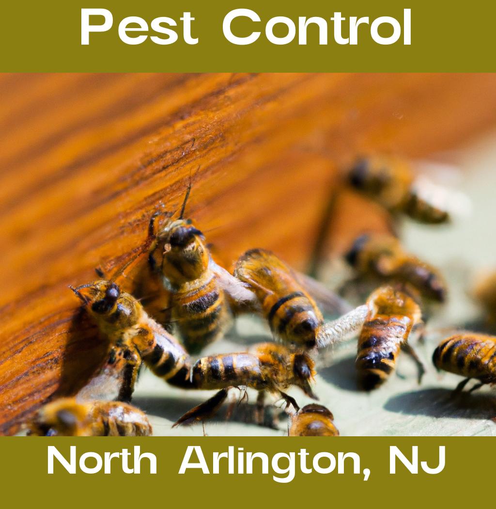 pest control in North Arlington New Jersey