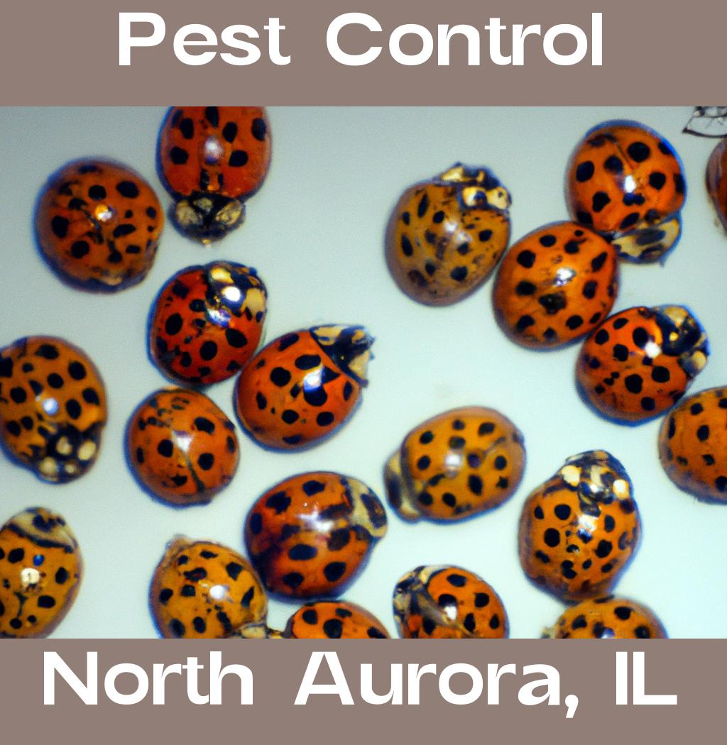 pest control in North Aurora Illinois