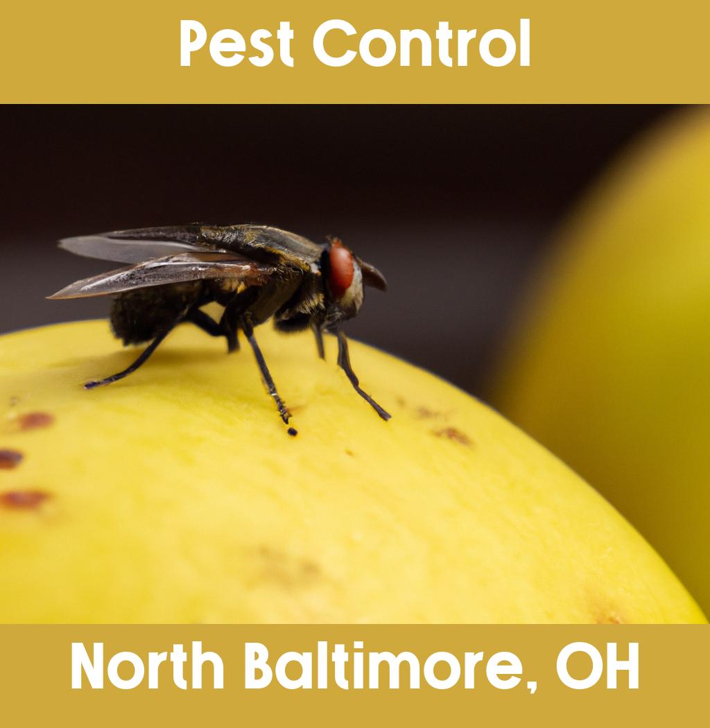 pest control in North Baltimore Ohio