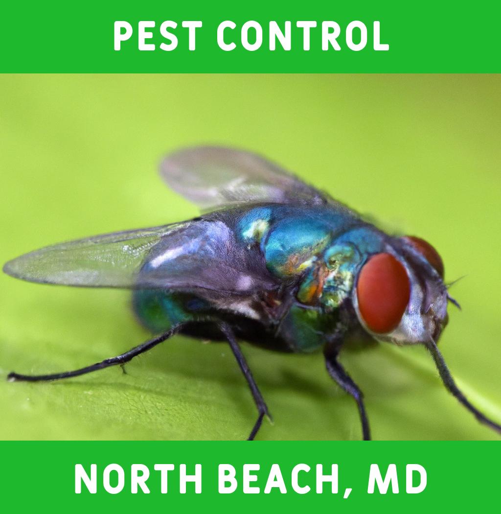 pest control in North Beach Maryland